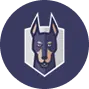 Snyk technology